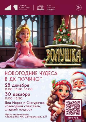 Новогоднее представление 