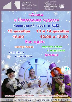 Алиса и Новогодние чудеса