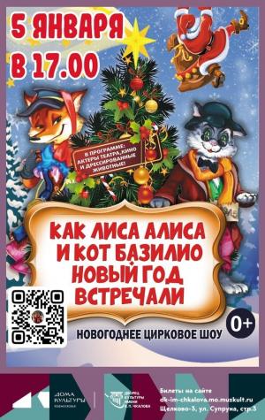 Новогоднее театрально-цирковое представление 