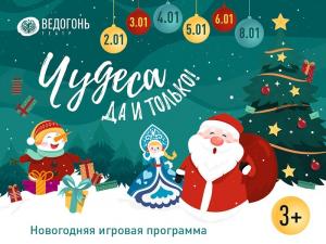 Новогодняя интерактивная программа 