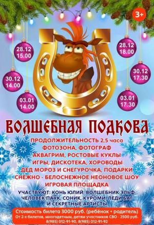 Новогоднее представление 