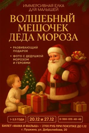 Новогодние елочки «Волшебный мешочек Деда Мороза»