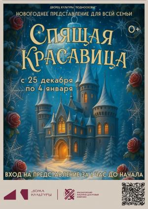 Новогоднее семейное представление 