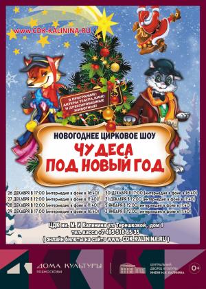Новогоднее цирковое шоу Новогоднее цирковое шоу